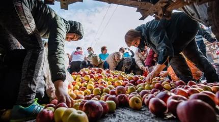 Курс на самоубийство: Экспорт рухнул почти в 5 раз