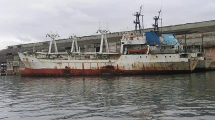 Россия полностью перекрыла экспорт подсолнечного масла с Украины по Черному морю